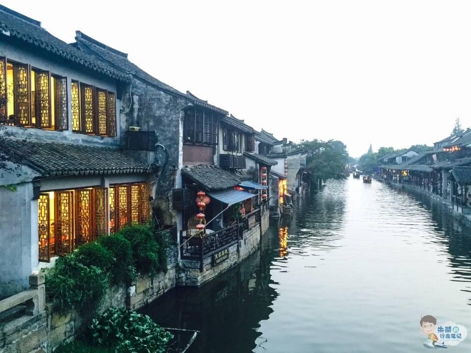 临海,“熊出没”